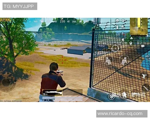 和平精英赛事分析：TES在阵地战中的优劣势解析与反思