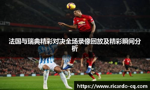 法国与瑞典精彩对决全场录像回放及精彩瞬间分析